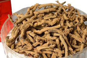 巴戟天和大戟一样吗,大戟和巴戟天的区别