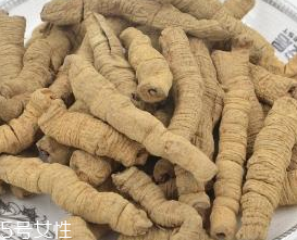肉苁蓉和巴戟天的区别,苁蓉和巴戟天用什么作用
