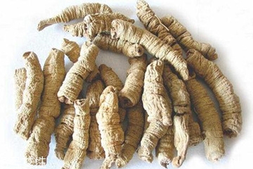 巴戟天是中药吗,巴戟天是什么药