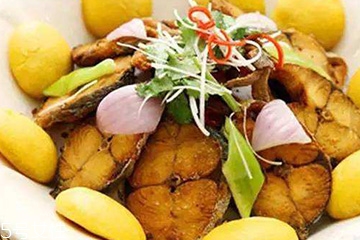 黄金鲅鱼有鱼鳞吗,鲅鱼有鱼鳞吗