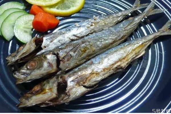 鲅鱼和沙丁鱼的区别,沙丁鱼和鲅鱼是一种鱼吗