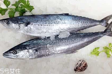 鲅鱼和青占鱼是一种鱼吗,鲅鱼和青占鱼的区别
