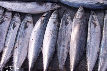 鲅鱼能和豆腐一起吃吗,鲅鱼可以和豆腐炖一块儿吗?