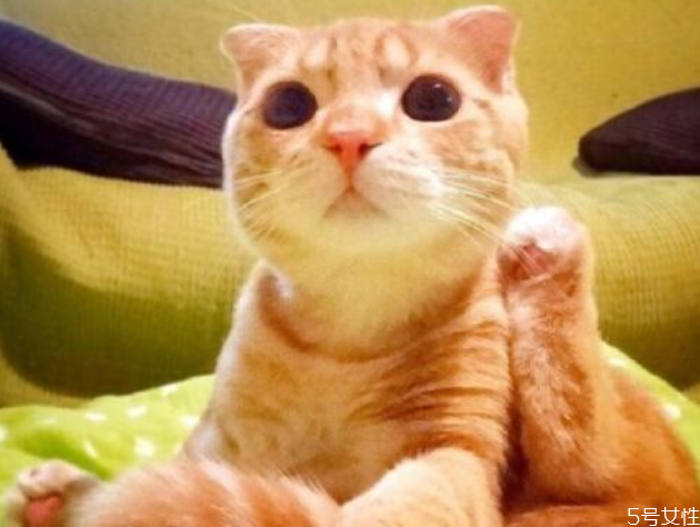 用药的具体操作(如何进行用药指导)