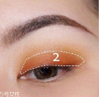 猫咪得了猫藓怎么办(猫得了猫癣怎么治好得快)