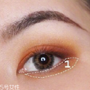 对于衣服上的猫毛(衣服上都是猫毛)