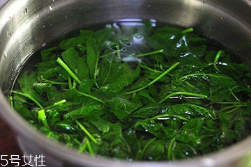 刺五加能生吃吗?,刺五加可以吃吗