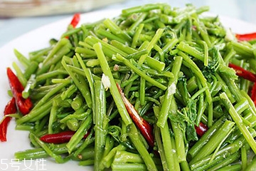 刺五加是不是五加皮,刺五加是不是五加皮中药呢?