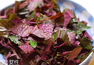 怎样用紫苏叶治疗皮肤过敏,紫苏叶会过敏吗