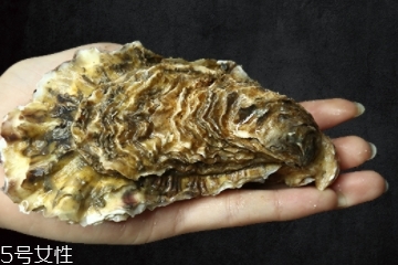 生蚝有内脏吗,需要清理吗,生蚝怎样清洗内脏