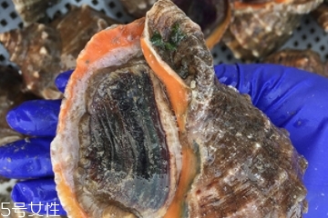 海螺开水还是冷水下锅煮多久,海螺是开水下锅还是冷水