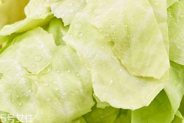 牛心菜是凉性还是热性,卷心菜属于寒性还是热性