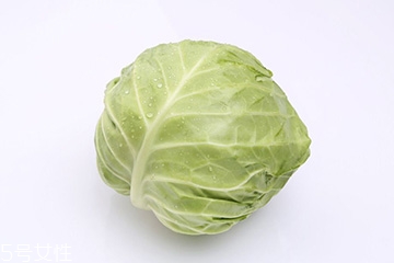 牛心菜是包菜吗,牛心菜是包菜吗?做月子能吃吗 牛心菜是包菜吗,牛心菜是包菜吗?做月子能吃吗