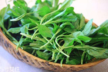 马兰头的营养价值和功效,马兰头的营养价值