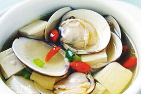 文蛤是寒性的吗,文蛤是凉性还是热性