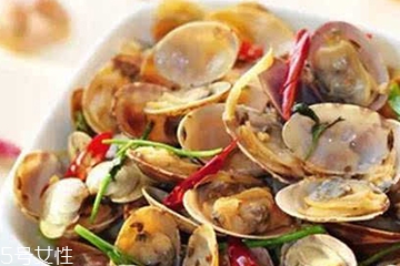 文蛤的价格,文蛤市场价多少钱一斤