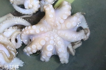 章鱼会喷墨汁吗,章鱼也会喷墨汁吗