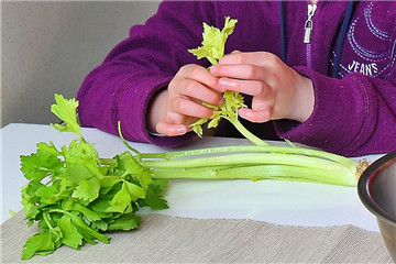 不是芹菜是菜芹,芹菜我们吃的是它的什么部分