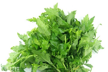 菊花脑的花有什么用处,菊花脑的功效 菊花脑的花有什么用处,菊花脑的功效