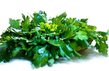 菊花脑不能和什么同吃,菊花不能和什么水果一起吃吗