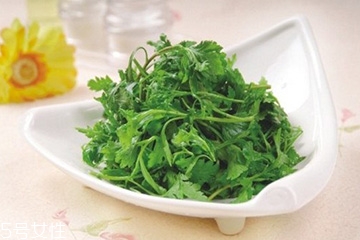 菊花脑的花能吃吗,菊花脑的吃法