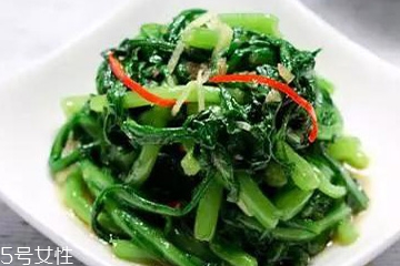 菊花是温性还是热性,菊花热性还是凉性