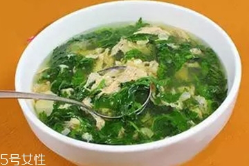 菊花脑的功效和禁忌,菊花脑的花能吃吗