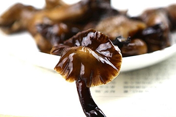 榛蘑的热量,榛蘑的热量是多少