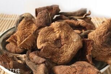 榛蘑和香菇可以一起吃吗,香菇和鲜蘑能一起吃吗