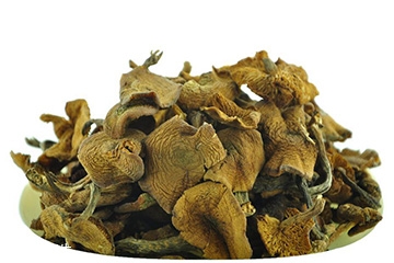 怎样泡发榛蘑,泡发过的榛蘑如何保存