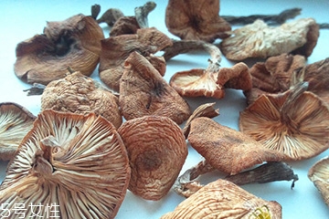 榛蘑和茶树菇的区别,榛蘑和茶树菇的区别