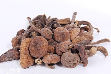 榛蘑的禁忌,什么人不适合吃榛蘑