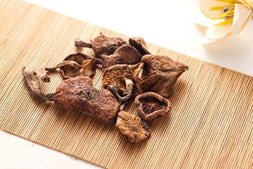 榛蘑是蘑菇吗,什么是榛蘑