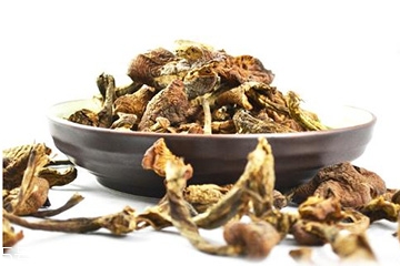 榛蘑可以和土豆一起吃吗,榛蘑和土豆能在一起炖吗 榛蘑可以和土豆一起吃吗,榛蘑和土豆能在一起炖吗