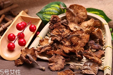 榛蘑的好处,榛蘑的好处都有多少啊