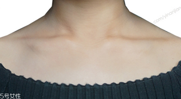 发情期猫咪饮食(发情期猫咪饮食)