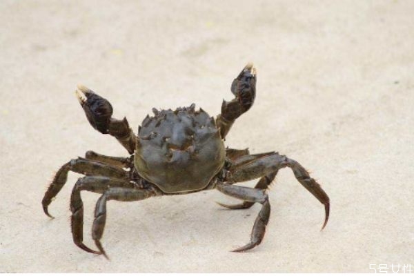 睫毛怎么变翘,睫毛变翘的小窍门