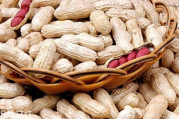 花生衣熟和生有区别吗,花生衣是生的好还是熟的好