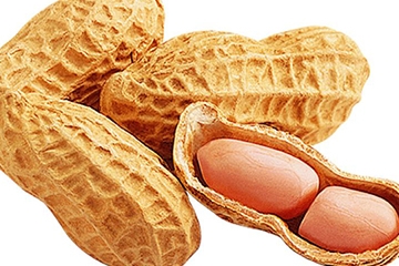 红皮花生衣怎么吃才能提升血小板,花生衣怎么吃补血小板