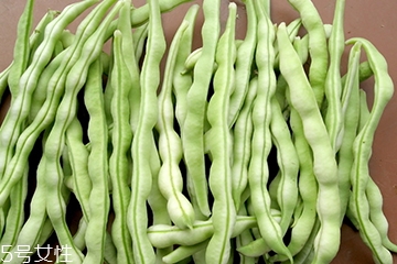 芸豆种植技术,芸豆的种植时间和方法