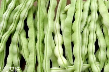 芸豆和白芸豆的区别,白芸豆和芸豆是一样的吗