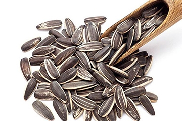 葵瓜子怎么剥,如何快速大量剥葵瓜子 葵瓜子怎么剥,如何快速大量剥葵瓜子