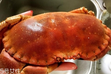 面包蟹是寒性的吗,面包蟹寒气重吗