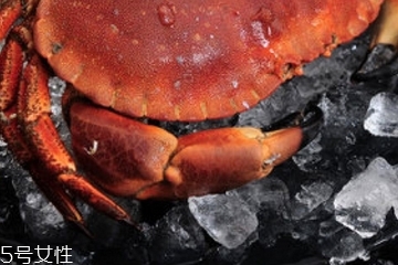 面包蟹是淡水还是海水的,面包蟹生活在淡水还是海水