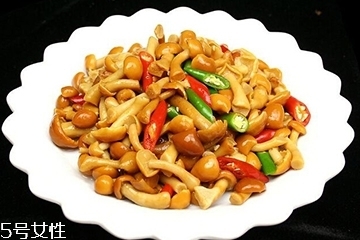 滑子菇是什么菇,滑子菇图片