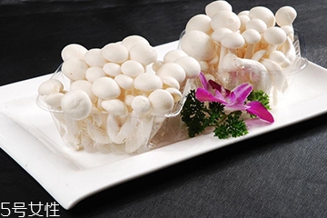 白玉菇能放多久,白玉菇常温下可以储存多久