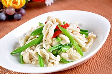 什么是白玉菇,白玉菇长什么样子