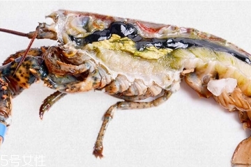 波士顿龙虾头里绿色的是什么能吃吗,波士顿龙虾头里面的绿色东西是什么?