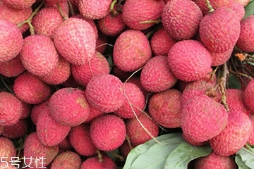 荔枝干和新鲜荔枝区别,鲜荔枝和干荔枝