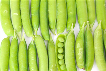 各种各样的豆子,最容易搞混的垃圾分类